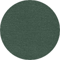 bottle green_224